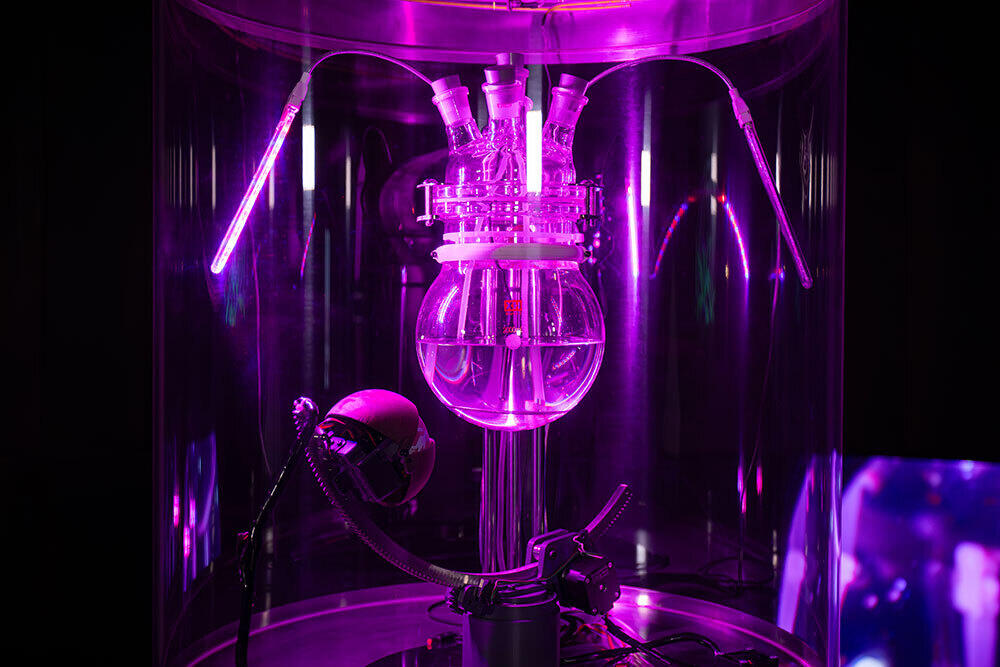 Showcase: Roscoffensis I/O by Miha Godec & Roscomoe Lab at OSMO/ZA, 27-30 Nov 2024
