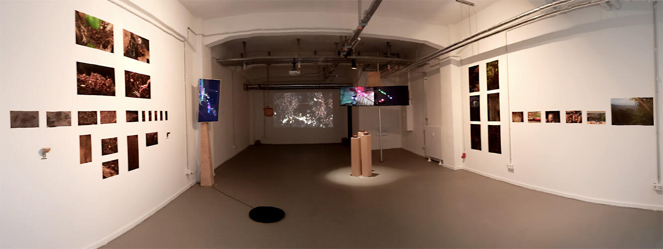 Meander/Boreal Forest LAB