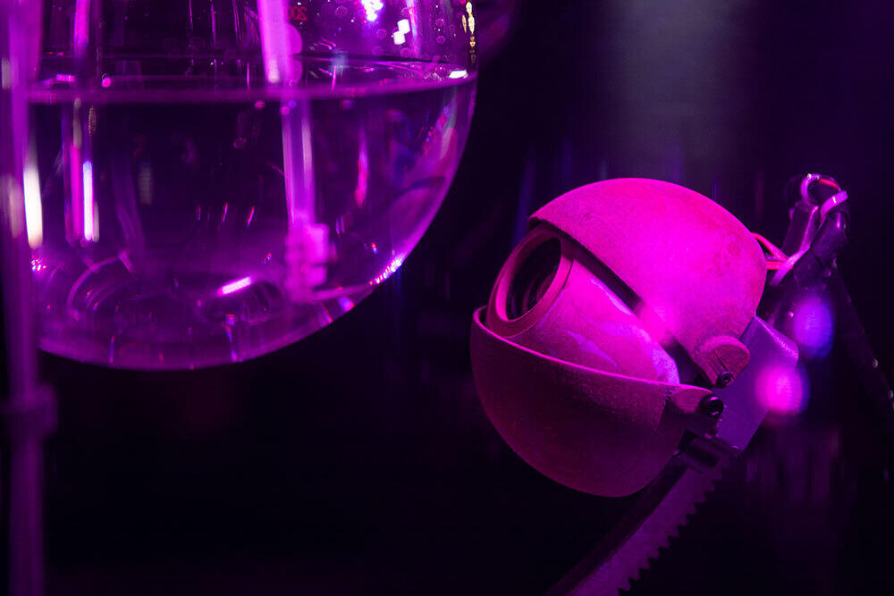 Showcase: Roscoffensis I/O by Miha Godec & Roscomoe Lab at OSMO/ZA, 27-30 Nov 2024