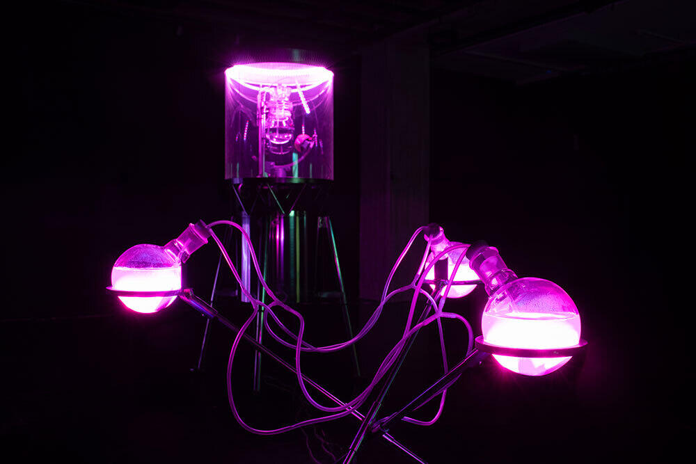Showcase: Roscoffensis I/O by Miha Godec & Roscomoe Lab at OSMO/ZA, 27-30 Nov 2024