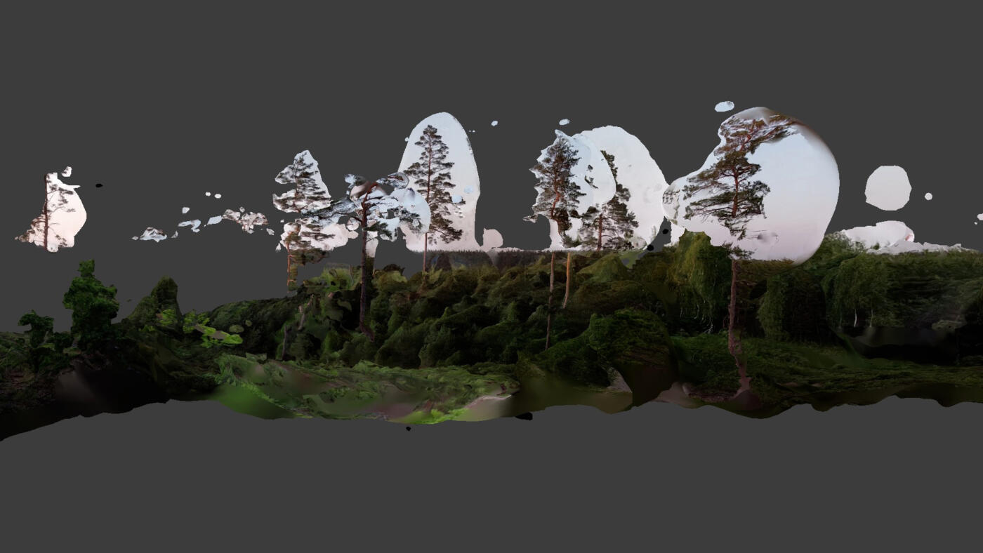 Meander/Boreal Forest LAB