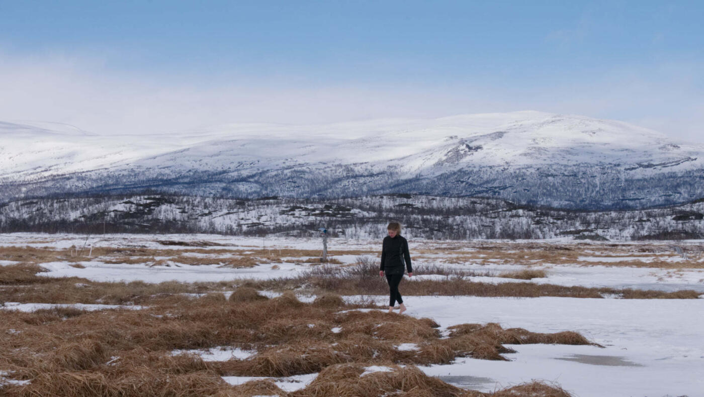 Meander/Boreal Forest LAB