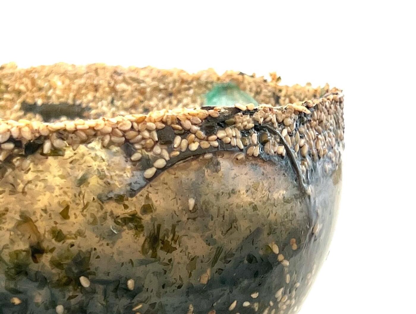 Green Open Food Evolution, a speculative exploration of algae and the food transition (Pauline Briand, October 2022)