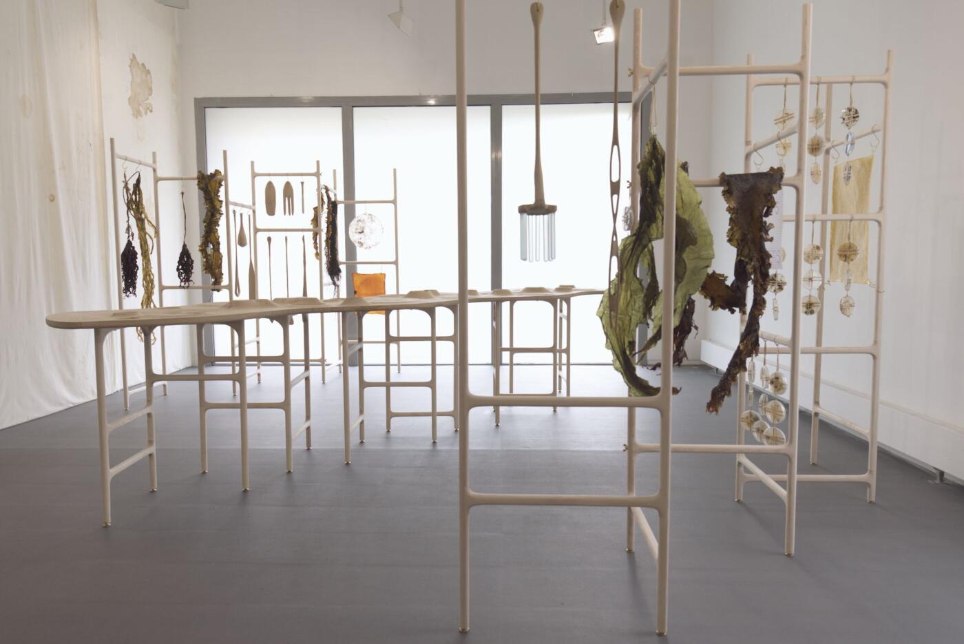 “Green Open Food Evolution” installation view