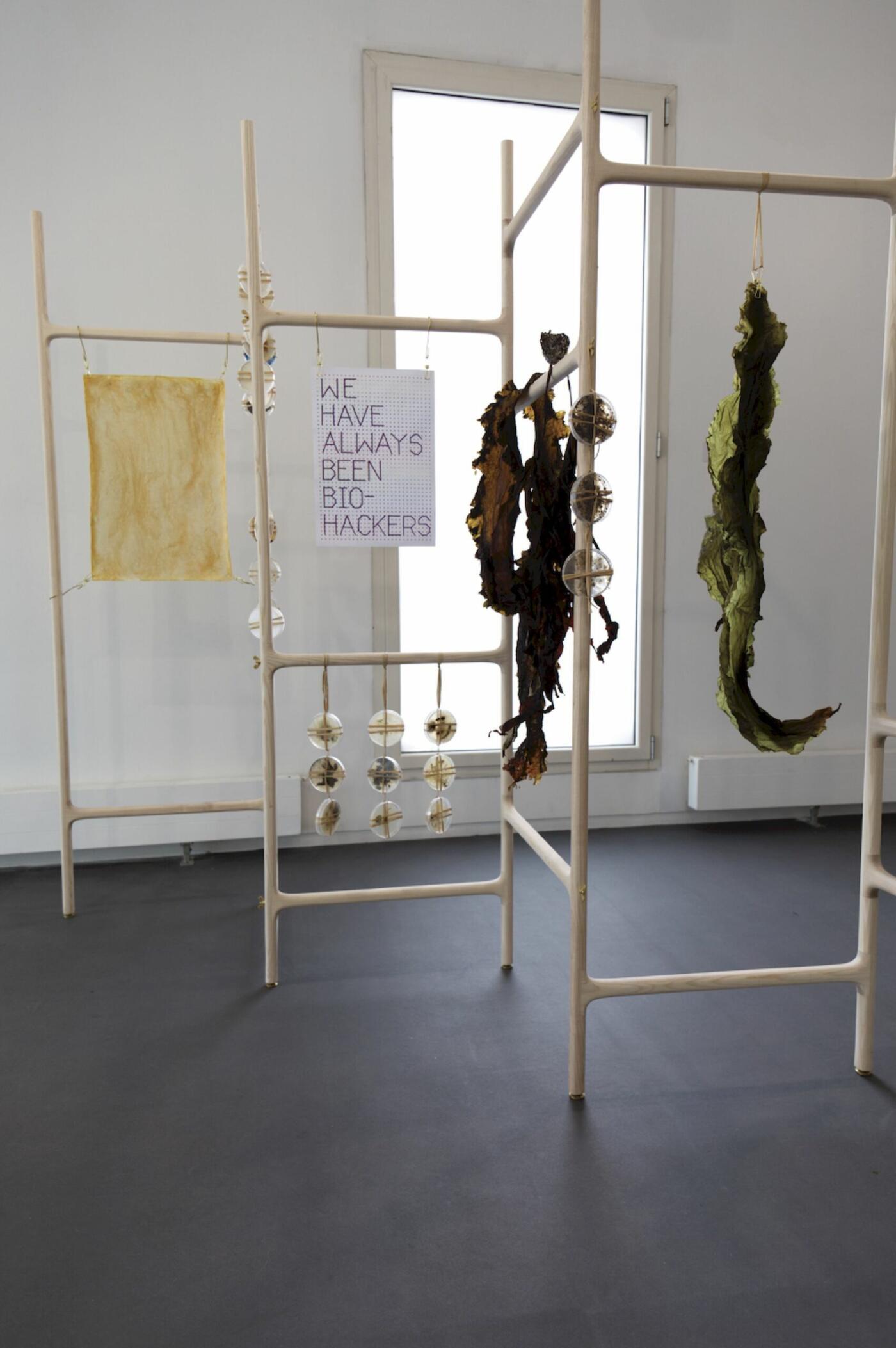 Green Open Food Evolution, a speculative exploration of algae and the food transition (Pauline Briand, October 2022)