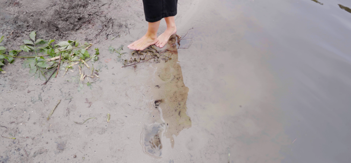 Essay: Radical re-imagining: why we need planetary imagination (Bonnie van Vugt, 2023)