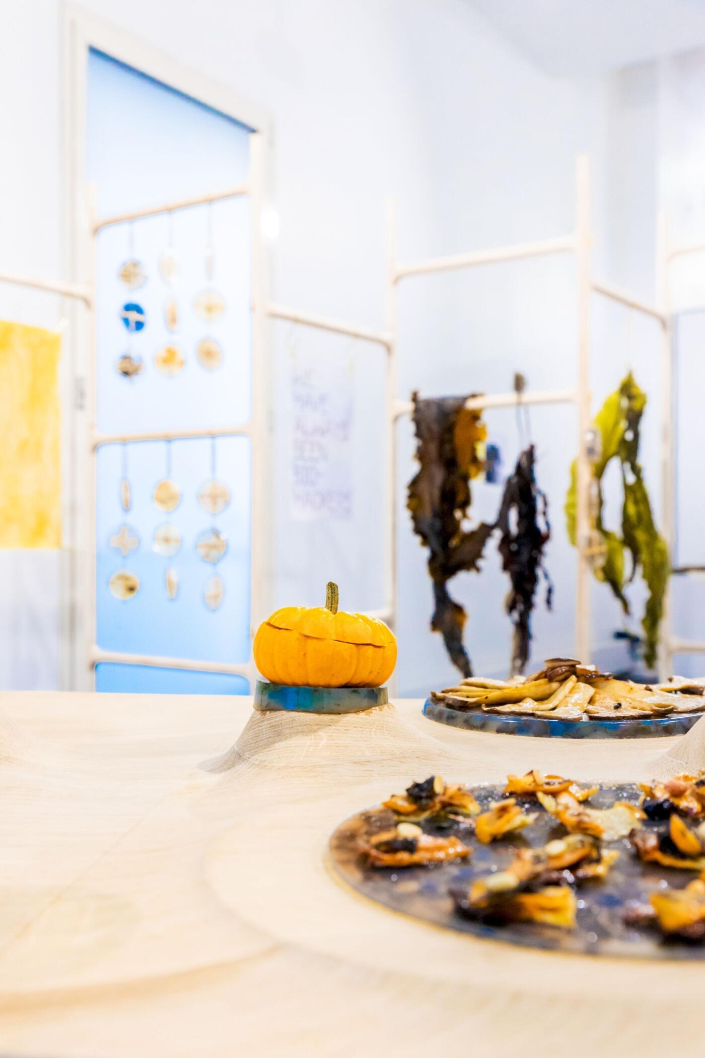 Homo Photosyntheticus lab: Green Open Food Evolution at Open Source Body Festival