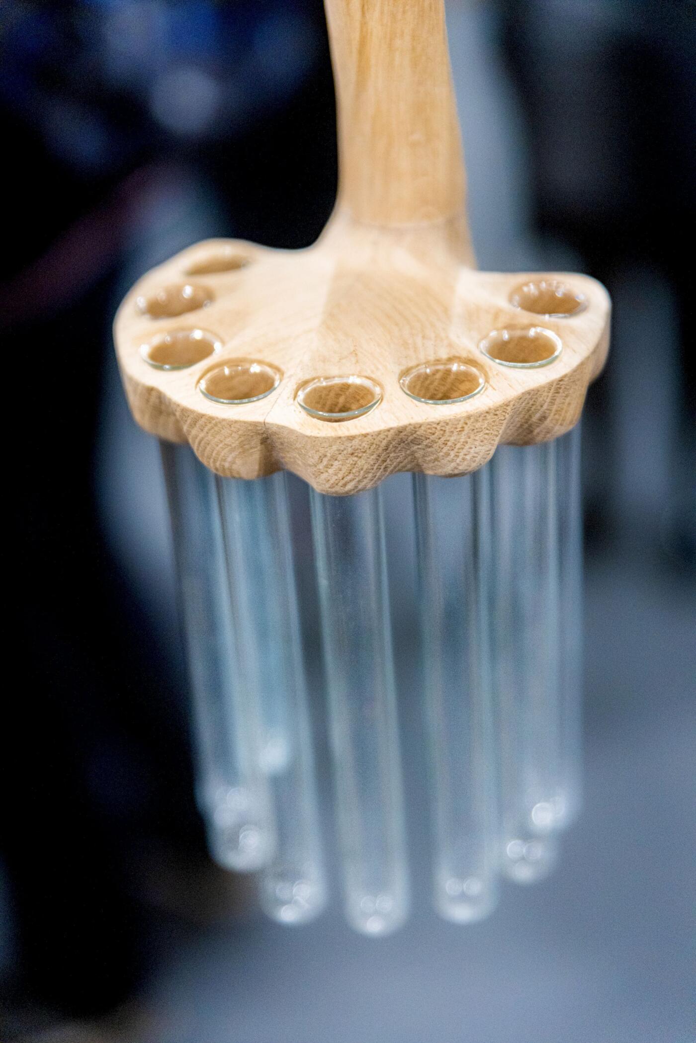 Homo Photosyntheticus lab: Green Open Food Evolution at Open Source Body Festival