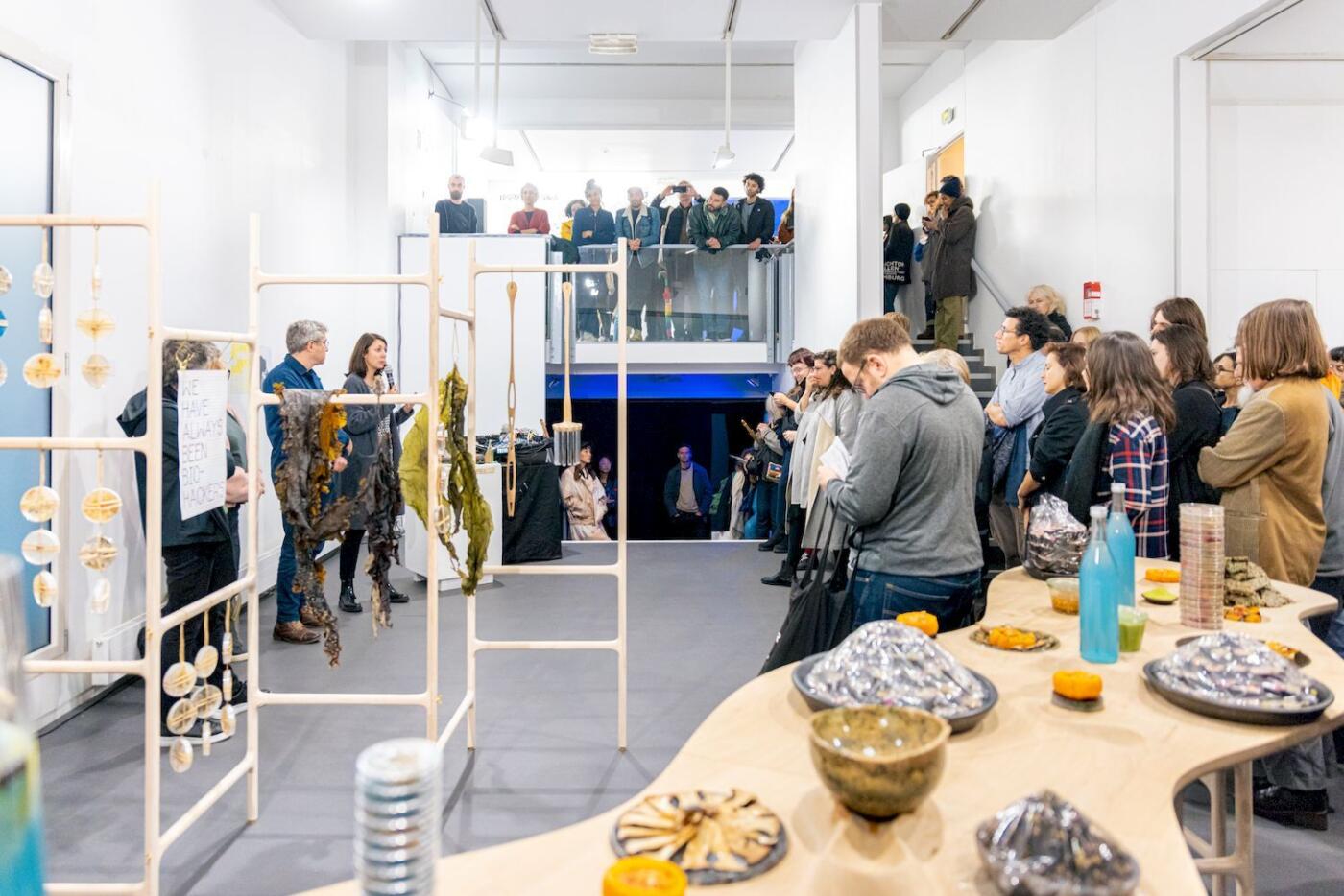 Homo Photosyntheticus lab: Green Open Food Evolution at Open Source Body Festival