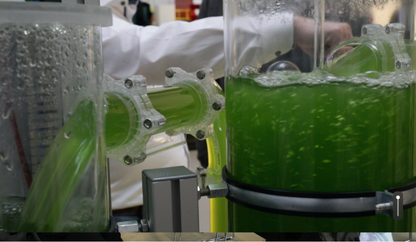 Lab visits at Agroscope (Bern, CH), Microalgae bioreactor at ZHAW (Wädenswi, CH), Algatech industry and research at EPFL (Lausanne, CH) 4-6 June 2024