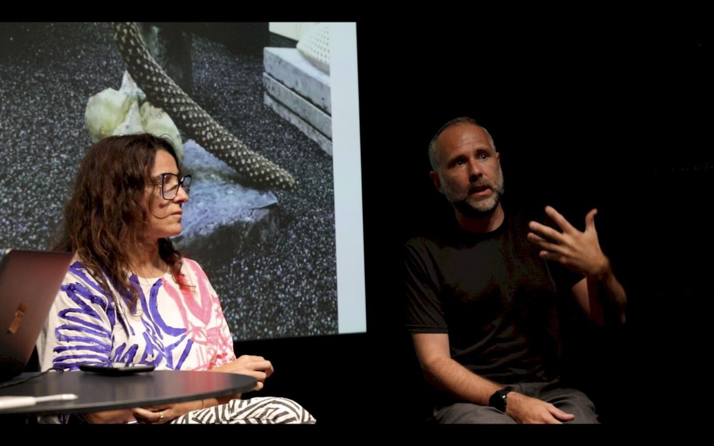 More-Than-Planet @ Awareness in Art Zurich: Planetary Narratives #6 – The Infra-world that supports our own. Keynote Conference & Artists Talk