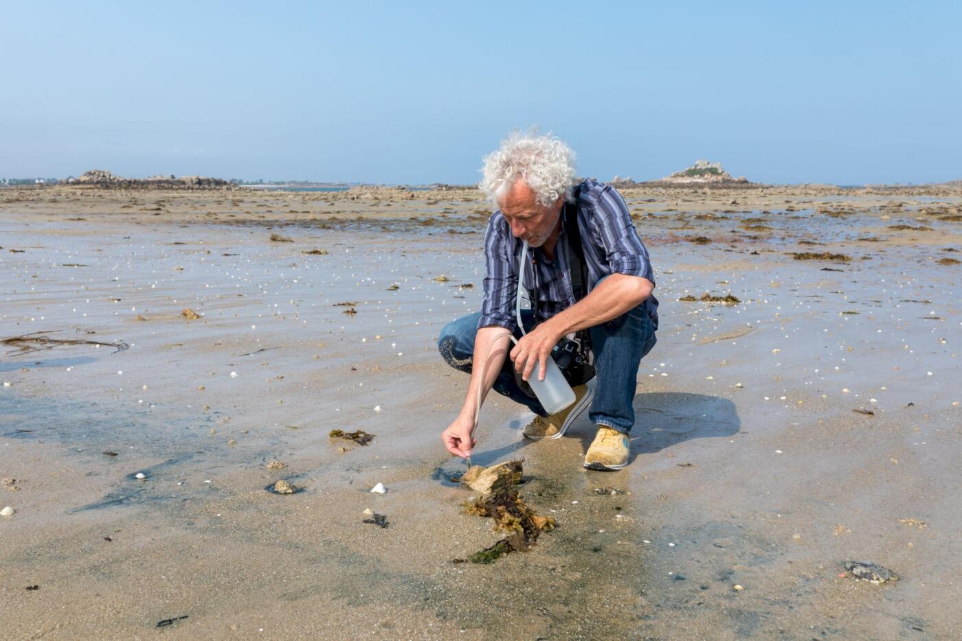 Roscosmoe Lab: Miha Godec in residency at M3 Lab, Roscoff Marine Station (FR) - July 2024
