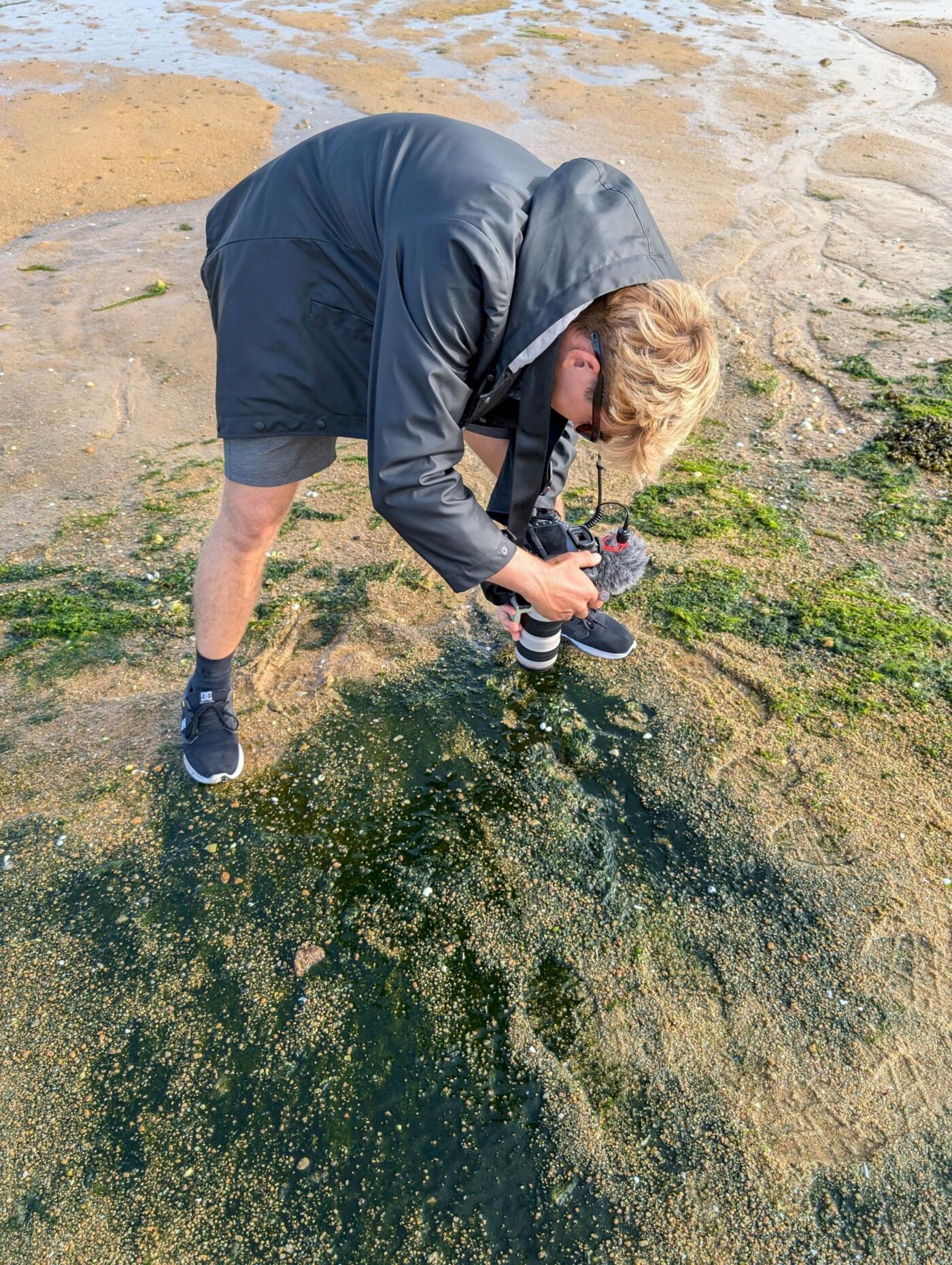 Roscosmoe Lab: Miha Godec in residency at M3 Lab, Roscoff Marine Station (FR) - July 2024