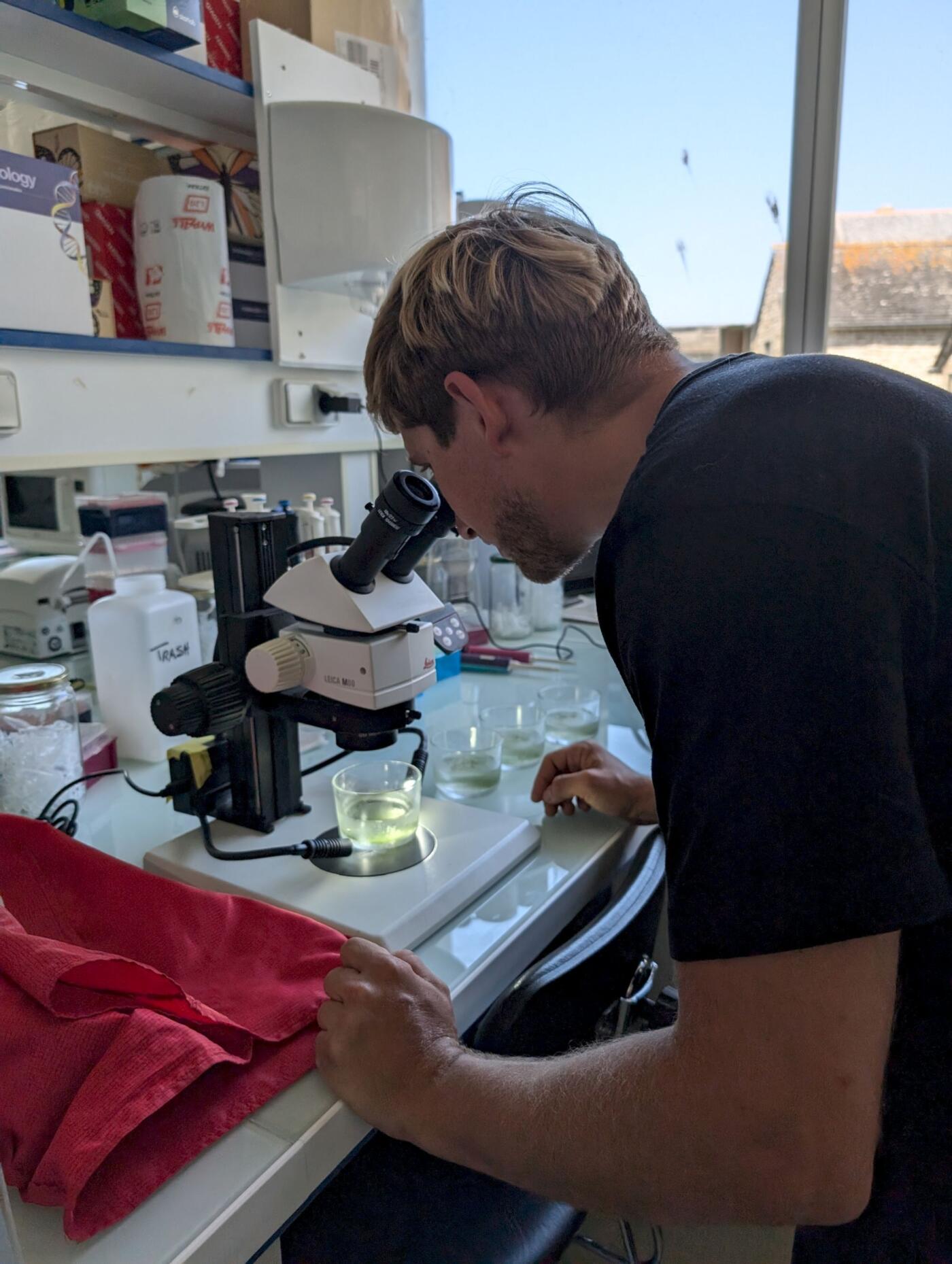 Roscosmoe Lab: Miha Godec in residency at M3 Lab, Roscoff Marine Station (FR) - July 2024