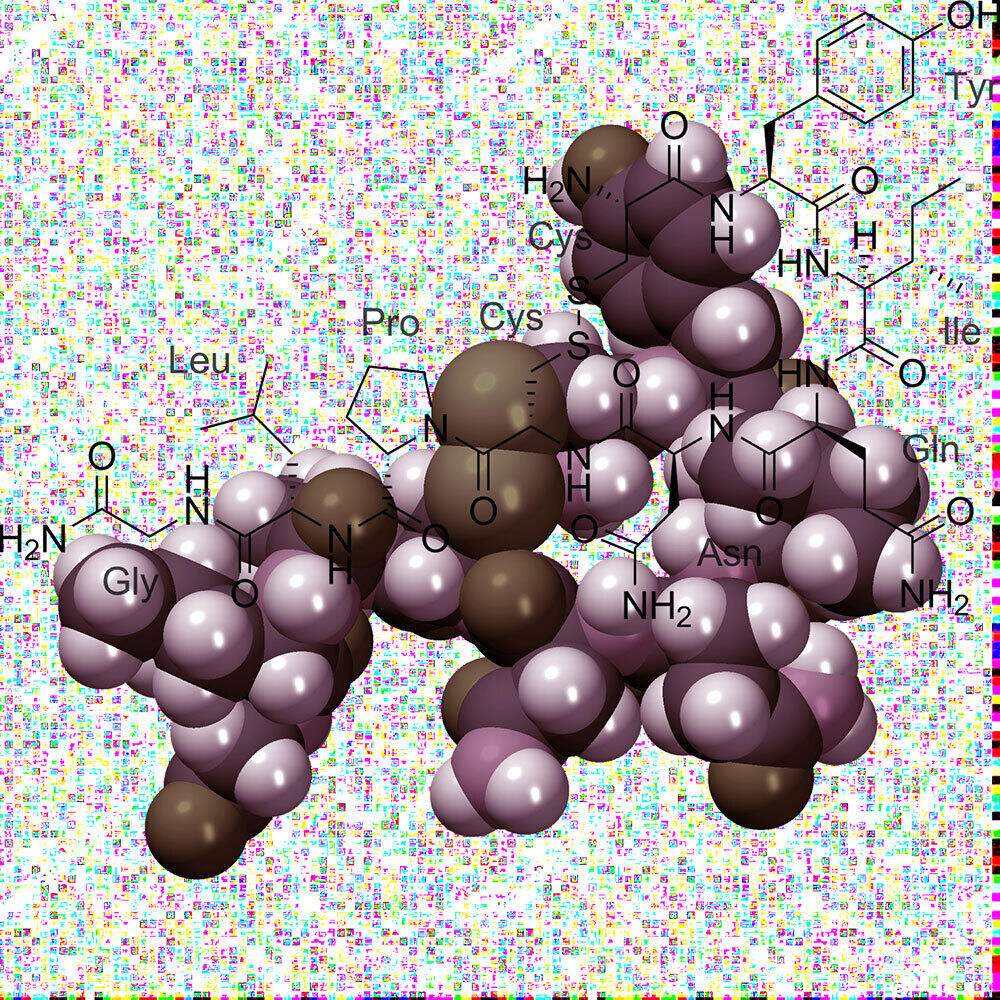 Synthetic Becoming: Life in the Molecular Commons (Vit Bohal, March 2023)