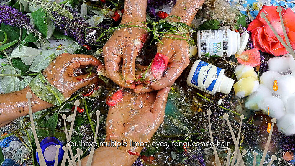 Synthetic Becoming: Life in the Molecular Commons (Vit Bohal, March 2023)