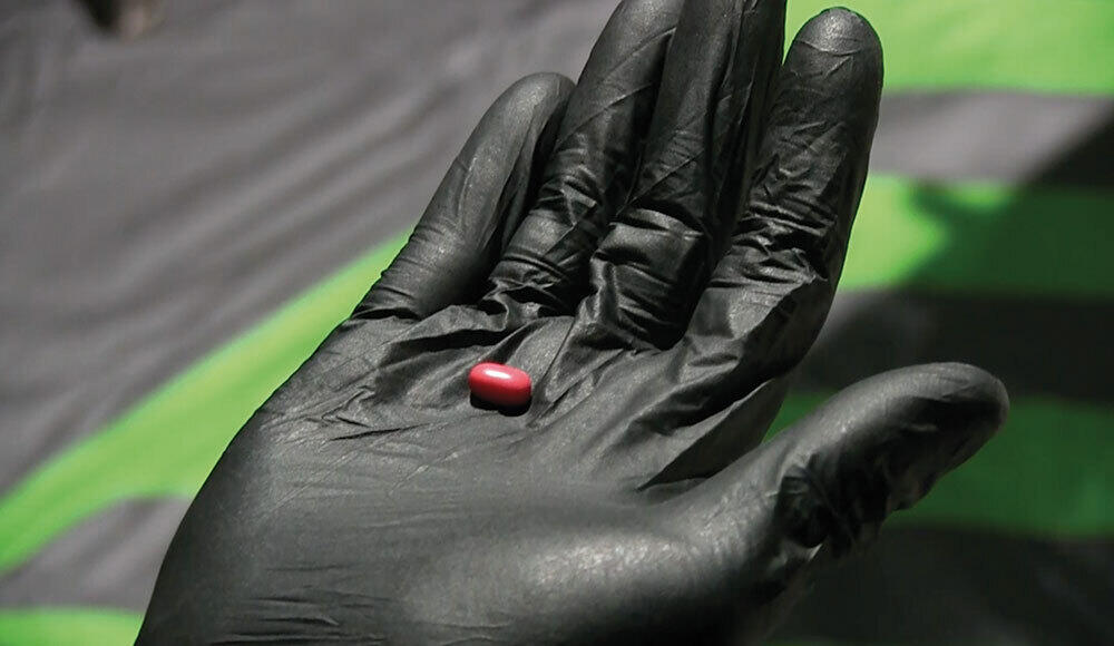 Synthetic Becoming: Life in the Molecular Commons (Vit Bohal, March 2023)