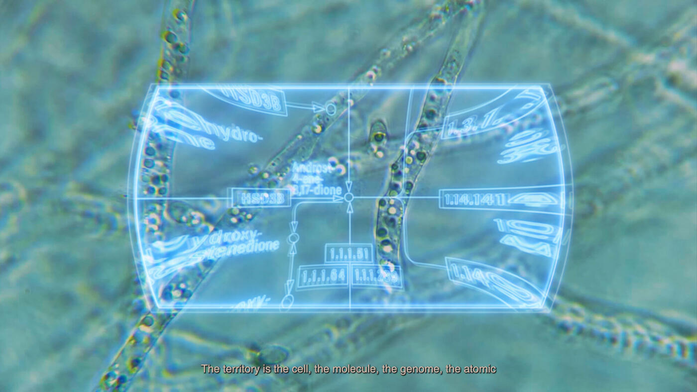 Synthetic Becoming: Life in the Molecular Commons (Vit Bohal, March 2023)